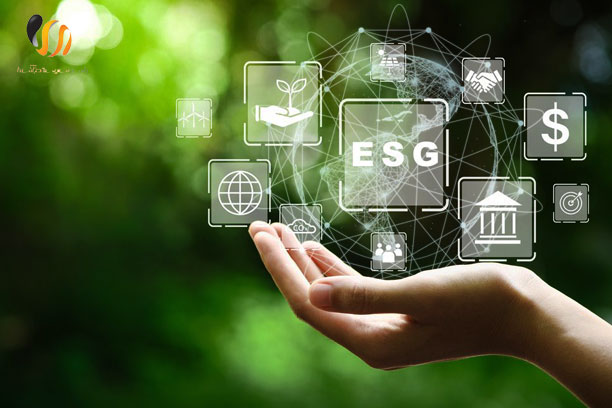 رتبه بندی ESG چیست؟