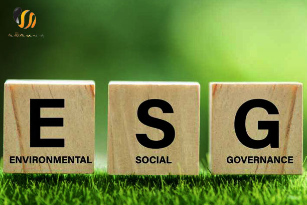 رتبه بندی ESG به چه معناست؟